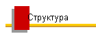 Структура