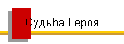 Судьба Героя